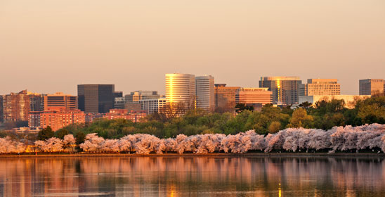 Political Punchout: Donald Trump and Women Voters